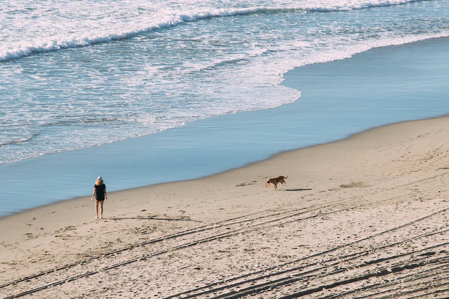 Bretagne avec chien blog