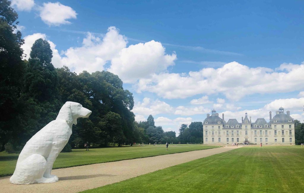 chateau loire accepte chien