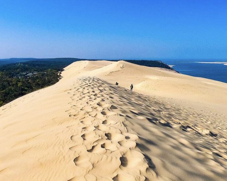 dune du pilât accepte chien teste de buch