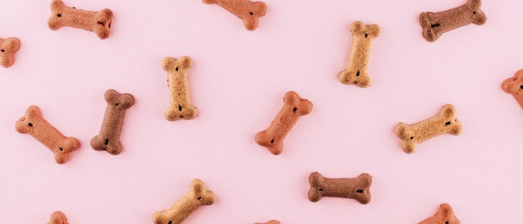 friandises pour chien blog