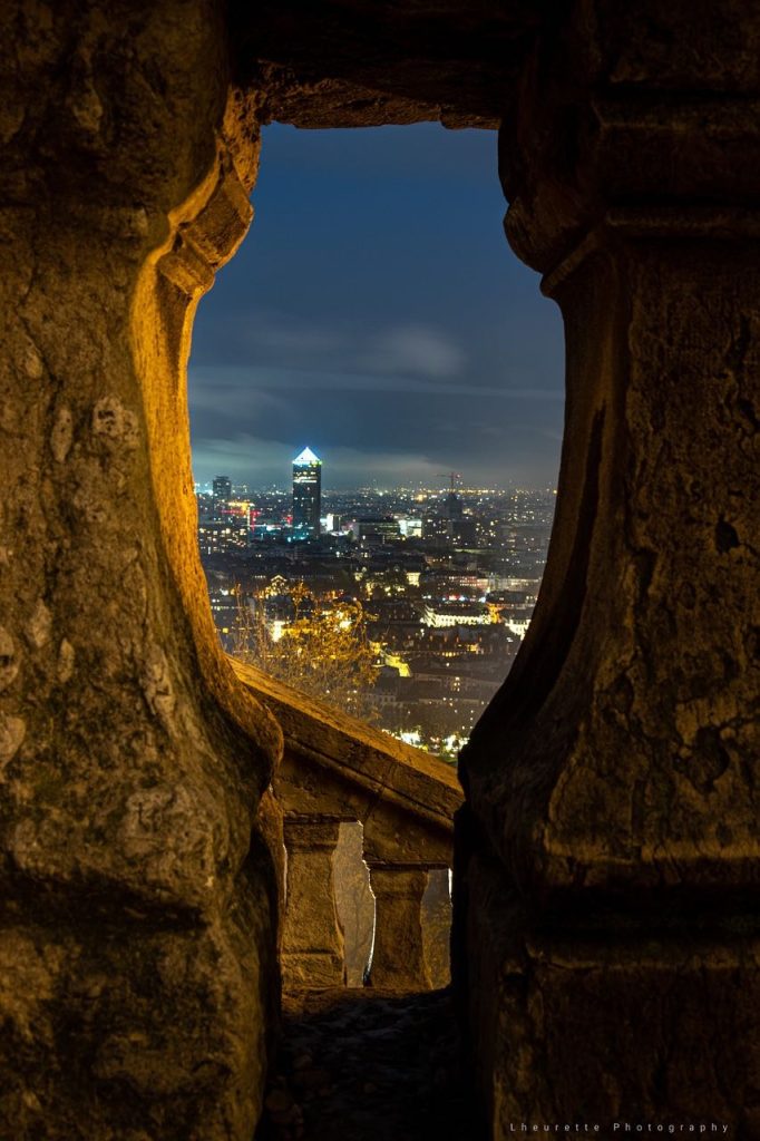 lyon avec son chien