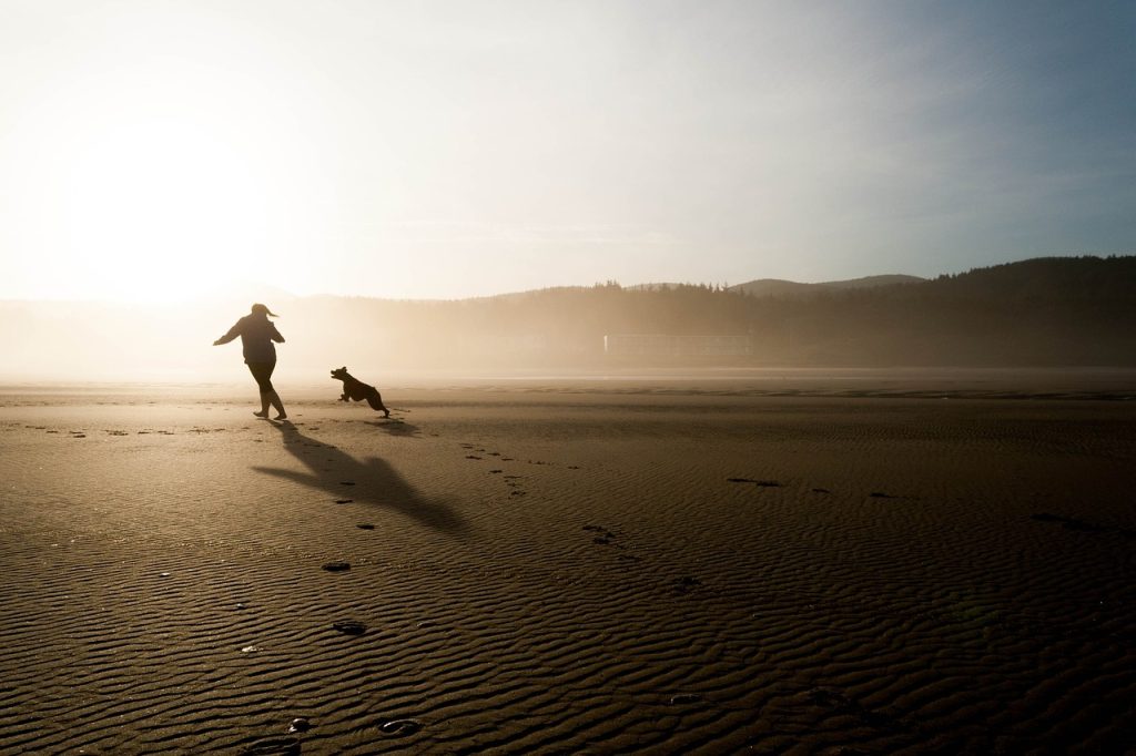 vendee avec son chien blog